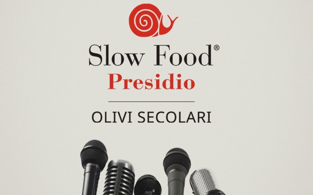 Centuries-old olive trees Slow Food Presidium: we got it!