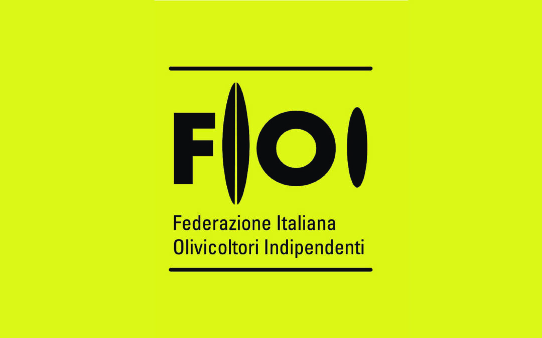 FIOI: we were welcomed in the family